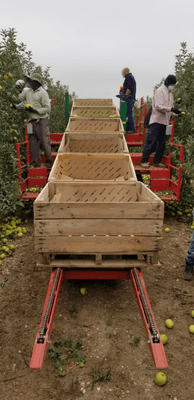 Récolte - Autre matériel de récolte - Plateforme récolte de fruits