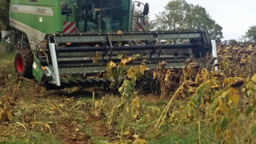 Récolte - Autre matériel de récolte - Kit plateau à tournesol 6.10 M