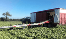 Transport - Remorques légumières - Remorques légumière DELECROIX