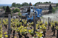Pulvérisation - Pulvérisateurs vigne - Poudreuse portée VEGA