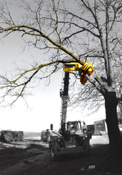 Matériel forestier - Grappin forestier - Grappin XYLOCUT - XYLOGRIP