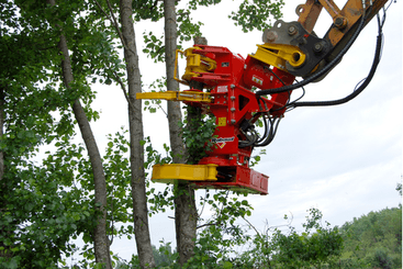 Matériel forestier - Grappin forestier - Grappin XYLOCUT - XYLOGRIP