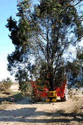 Matériel forestier - Grappin forestier - Grappin XYLOCUT - XYLOGRIP
