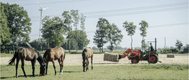Transport - Tracteurs Diesel - TRACTEUR CK2630 Arceau