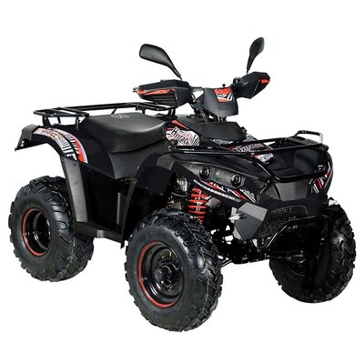 Transport - Quads SSV - Quad HY310T 4X2