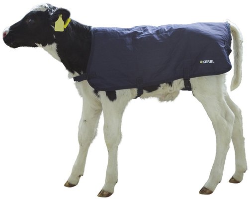 Elevage - Materiel - Couverture veaux EASYWEAR 70CM