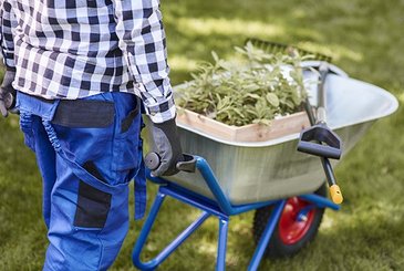 Conseil jardinage pour la fin d'été