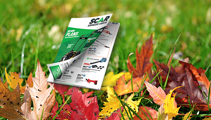 Jusqu'au 25 octobre, profitez des promotions espaces verts pour cet automne