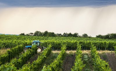 Des pneumatiques agricoles robustes avec le réseau SCAR 