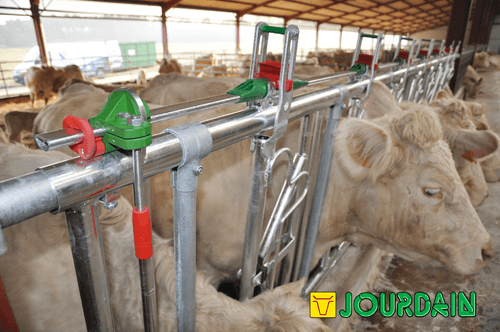 Matériel d'élevage - Matériel tubulaire - Cornadis SAFETY IV