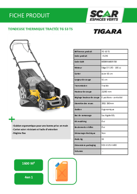 Herbes et entretien - Tondeuses thermiques - Tondeuse thermique tractée TG 53 TS