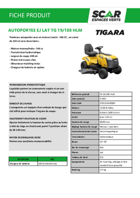 Herbes et entretien - Tondeuse autoportée essence - Tondeuse autoportée à éjection latérale TG 19/108 HLM