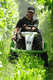 Herbes et entretien - Débroussailleuse à roues - Faucheuse débrousailleuse ATTILA SKD