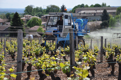 Pulvérisation - Pulvérisateurs vigne - Poudreuse portée VEGA