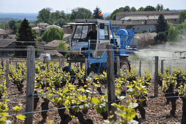 Pulvérisation - Pulvérisateurs vigne - Poudreuse portée VEGA
